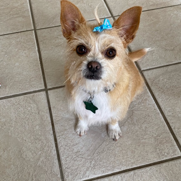 Meet your Posher, Nancy - Picture 3 of 9